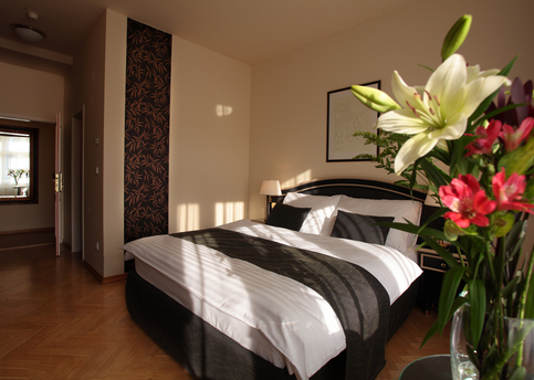 Main elysee classic room for 2 people 01