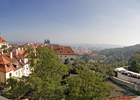 Thumb panorama